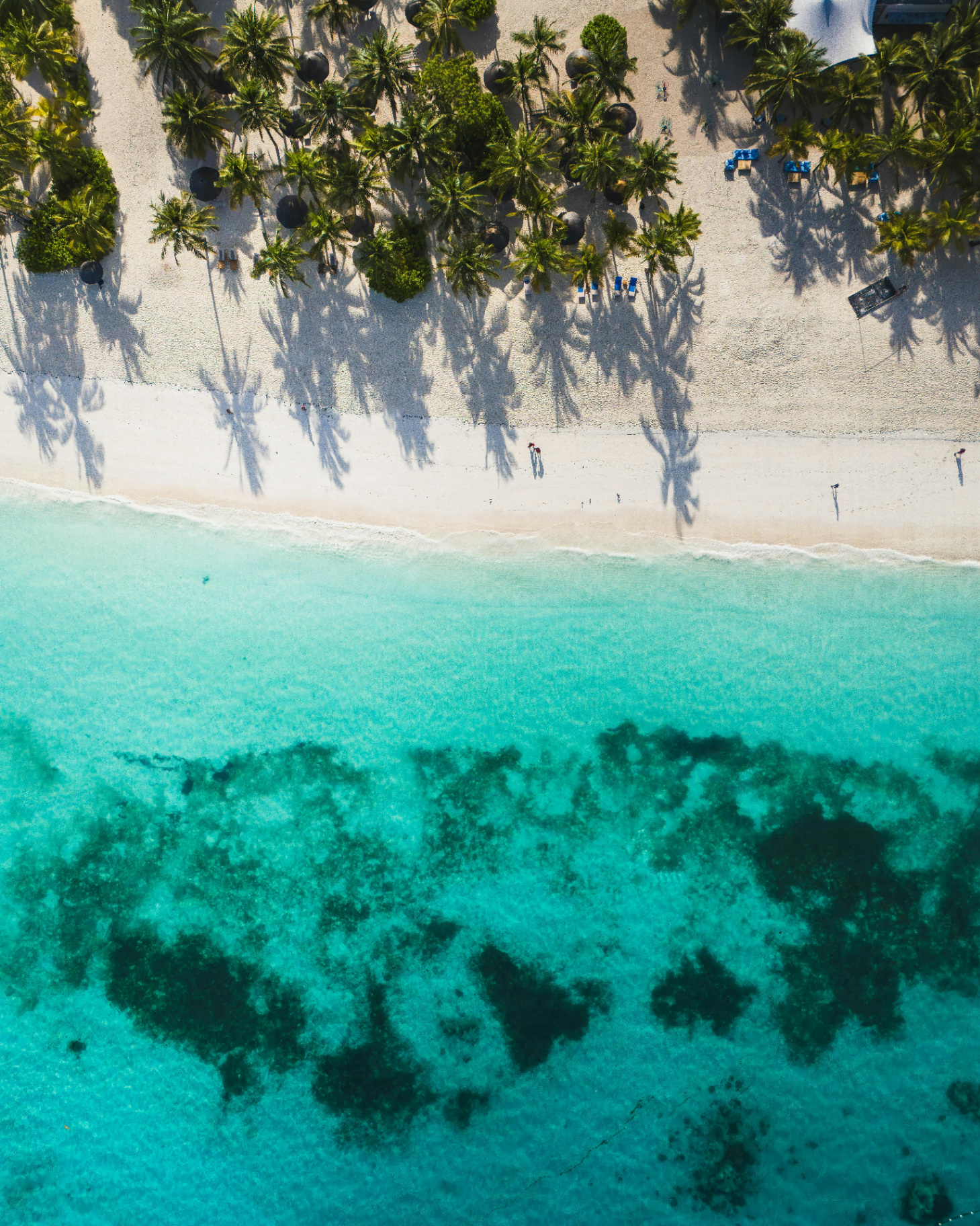 Zanzibar beach aerial